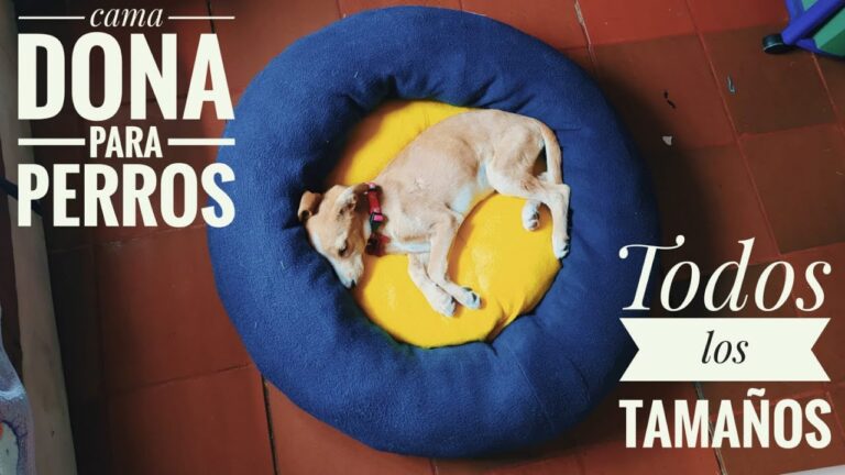 Moda Canina con Telas Suaves: Estilo y Confort para Tu Mascota
