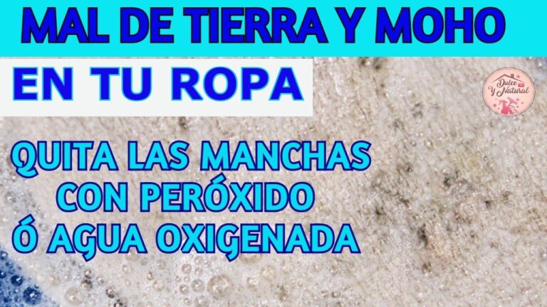 Guía para Elegir Telas Durables para Mantas