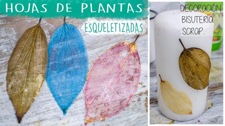 Telas Coloridas y Duraderas: La Elecci&oacute;n Perfecta para Tu Propuesta Textil