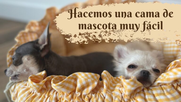 Mantas Decorativas de Alta Calidad para Mascotas