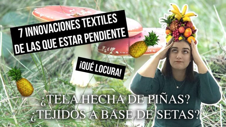 Innovadoras Telas para Transformar Espacios de Oficina