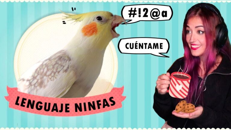 Telas Suaves y C&oacute;modas para Pa&ntilde;uelos de Mascotas