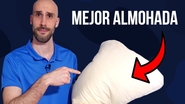Comodidad y Estilo: Cojines Ergon&oacute;micos para Tu Bienestar