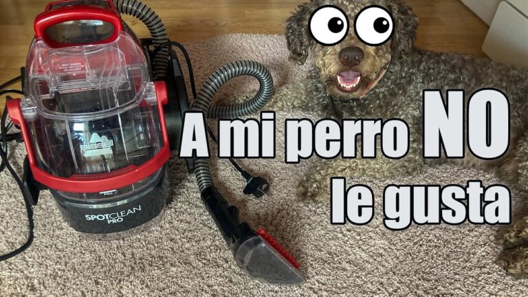 Absorción Perfecta en Telas para Mascotas
