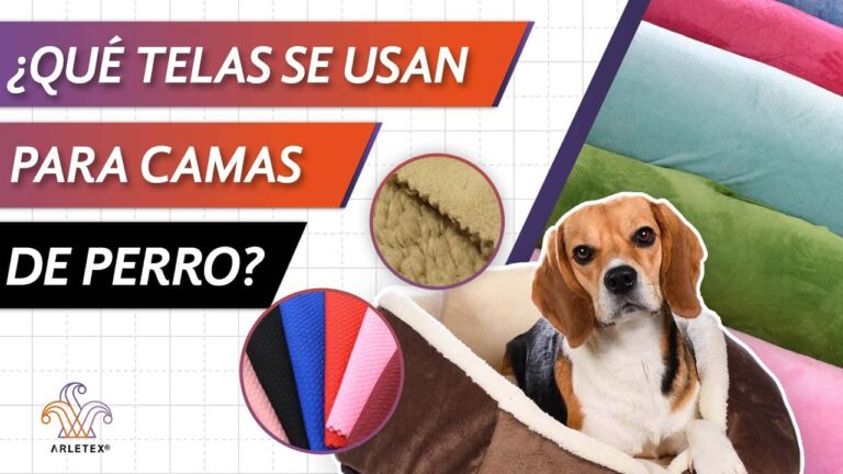 Mantén a tu mascota fresca con telas especiales