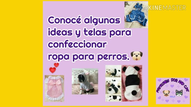 Confecci&oacute;n de Prendas de Calidad para Mascotas