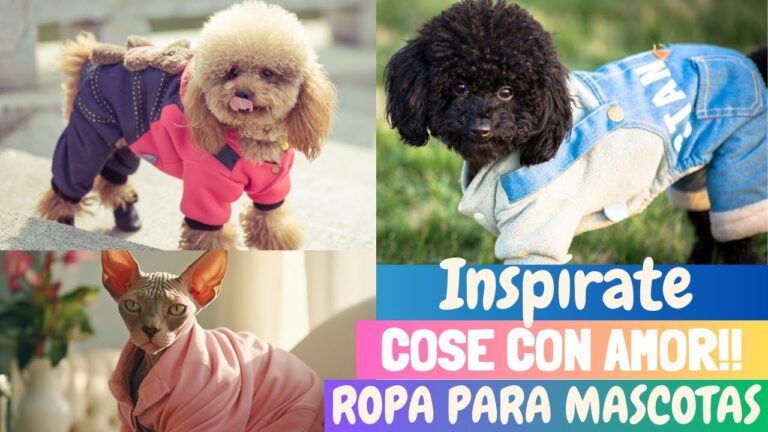 Protecci&oacute;n y Comodidad: Las Mejores Telas para Mascotas