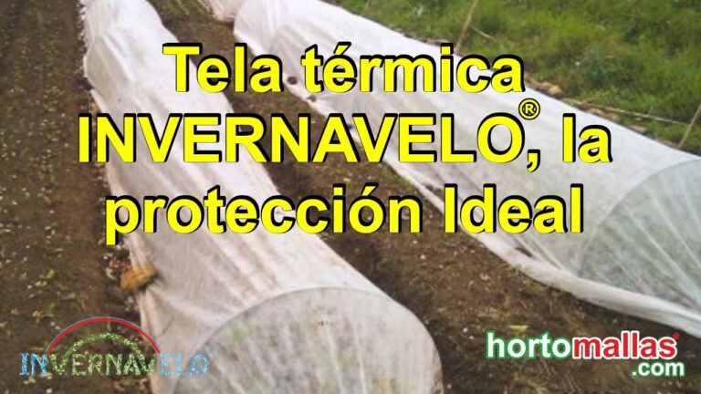 Telas para el Hogar: La Comodidad de las Mantas Térmicas