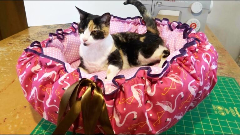 Telas Suaves y Acogedoras: El Hogar Perfecto para Tus Mascotas