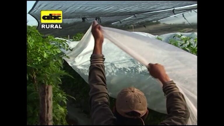 Beneficios de las Telas T&eacute;rmicas en Mantener el Calor de las Mantas